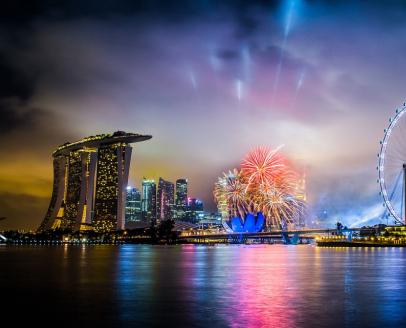 新加坡雇主担保