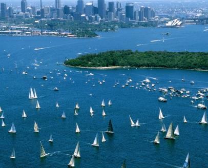 澳洲186雇主担保