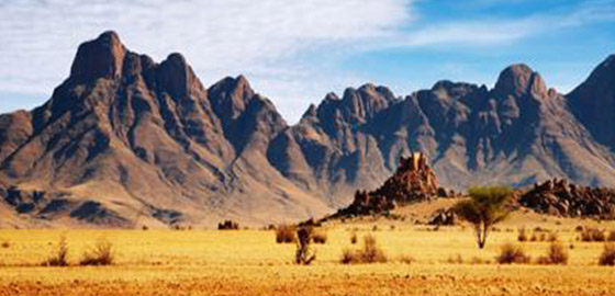 几内亚比绍投资移民计划